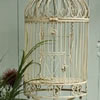 Vintage Style Birdcage for Hire
